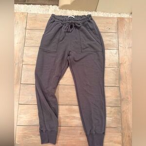 Abercrombie & Fitch Purple Jogger Pants